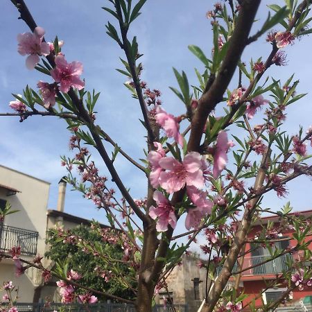 Il Giardino Di Nonno Agostino Bed & Breakfast Castellammare di Stabia Exterior photo